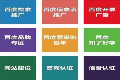 SEM代理助力企业：成功案例分析